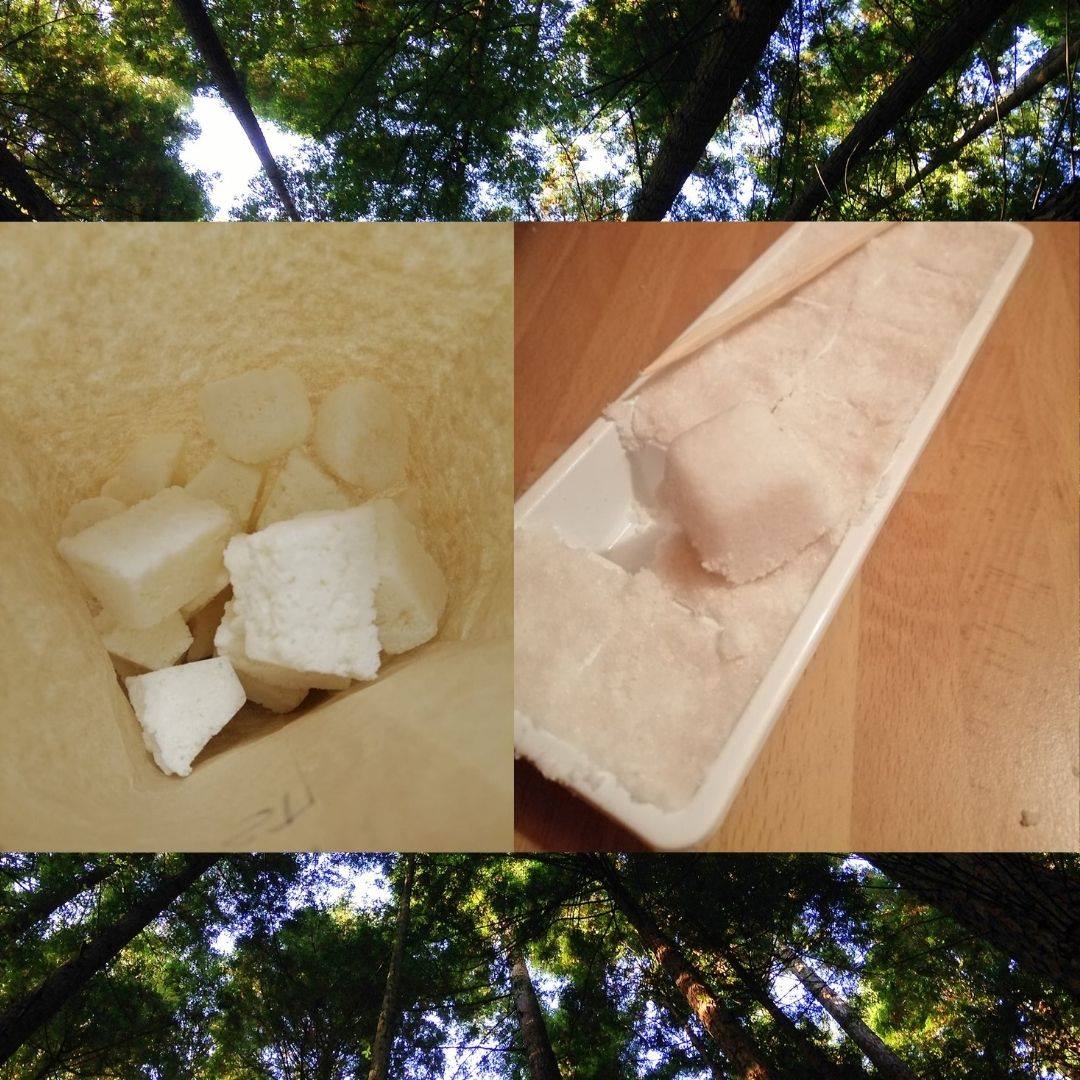 132952475 146123143721767 8214423130493591843 n