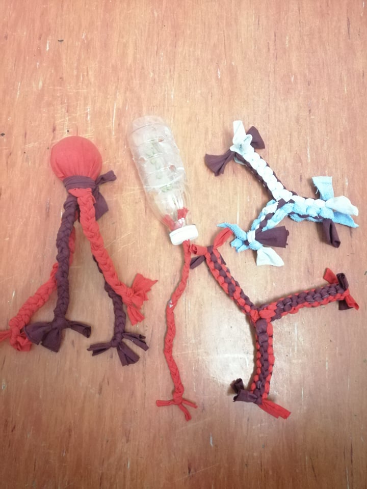 173229230 471074364238992 5319976010484596900 n