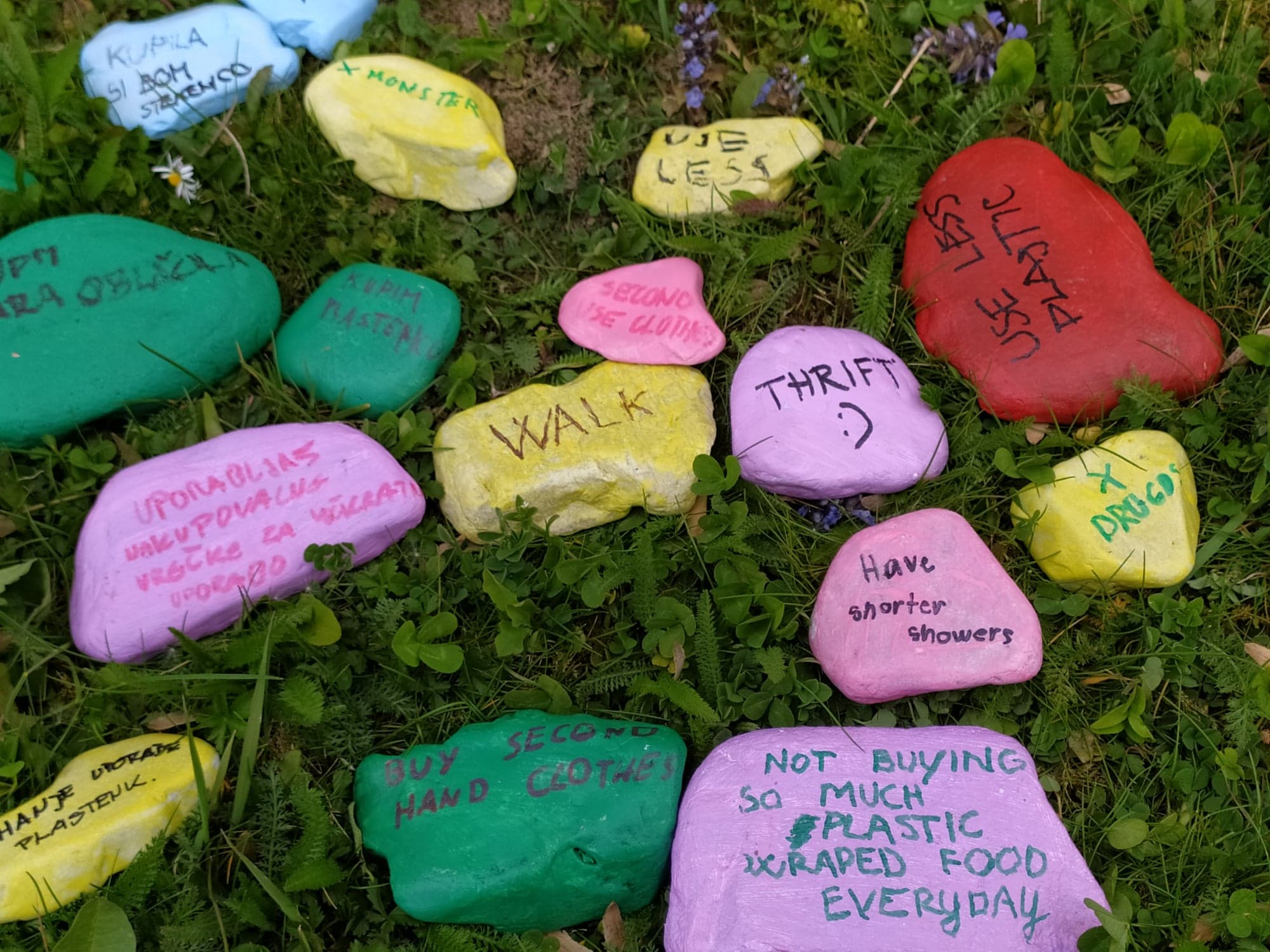 177614302 312799306936534 5100143224678963999 n