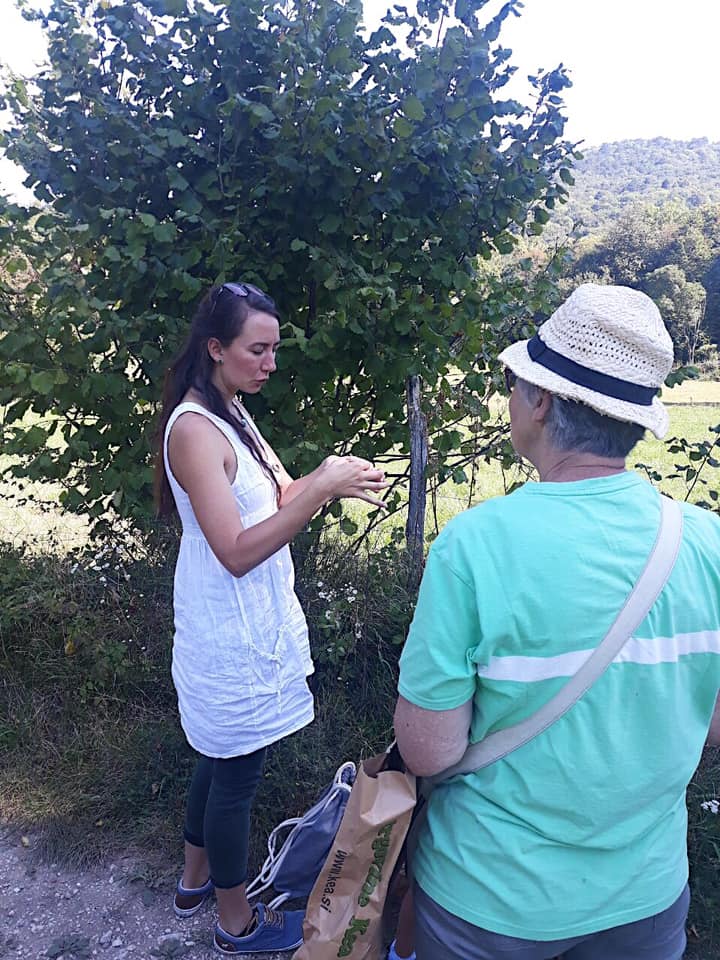 241866359 1094658167732873 4217909939638062392 n