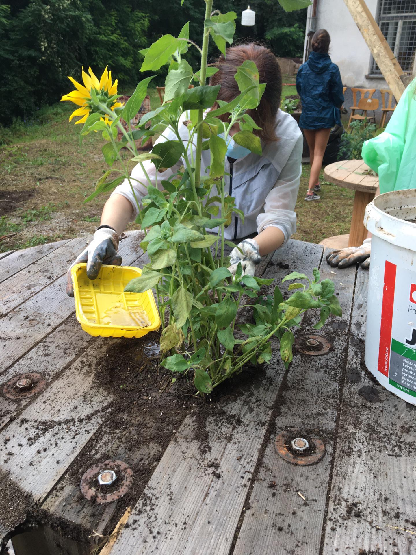 inbound6259397539744541281