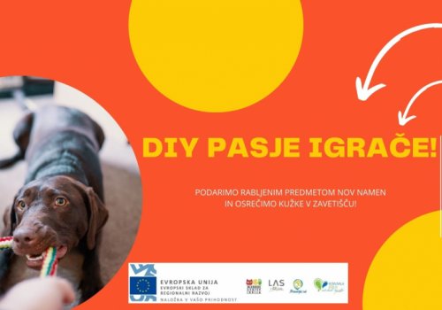 Osrečimo kužke v zavetišču!