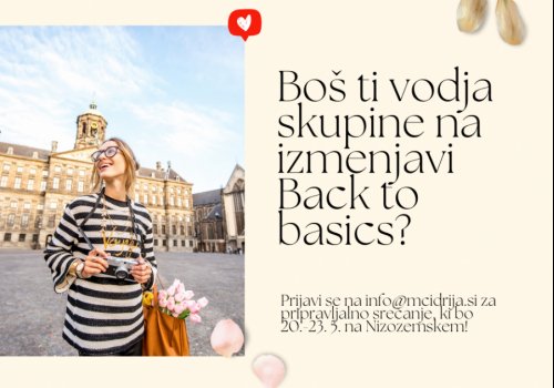 Pripravljalno srečanje za Back to basics
