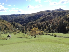 Living in Idrija by Tina