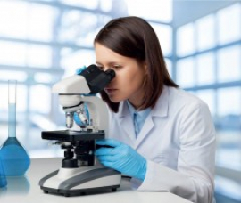 Razpis za kadrovske &scaron;tipendije