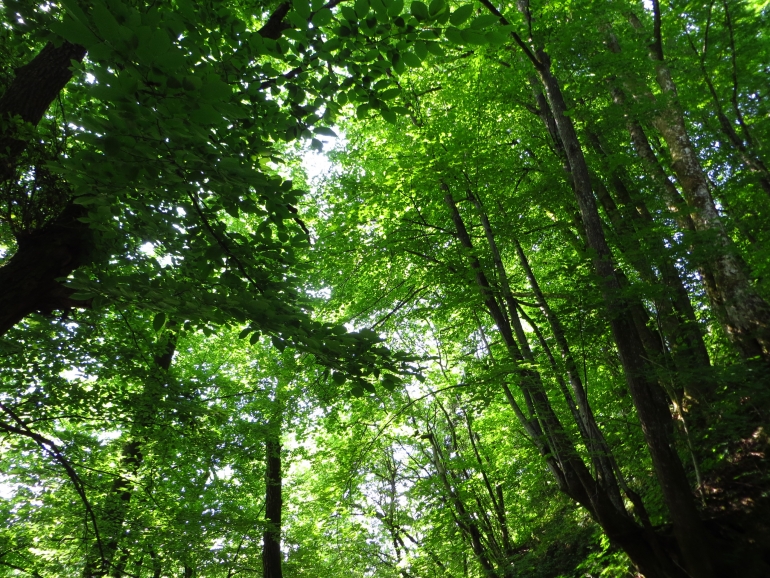 Living in Idrija by Tanja