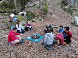 Kaj vse nas lahko nauči narava?